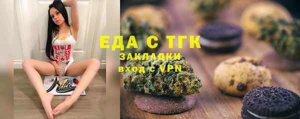 индика Бугульма