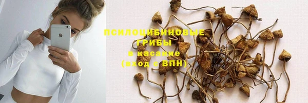 скорость Ладушкин