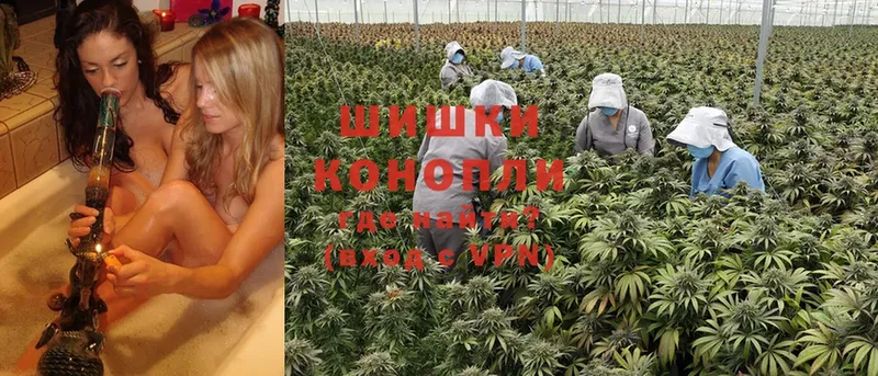 Марихуана THC 21%  где купить наркоту  мега зеркало  Палласовка 